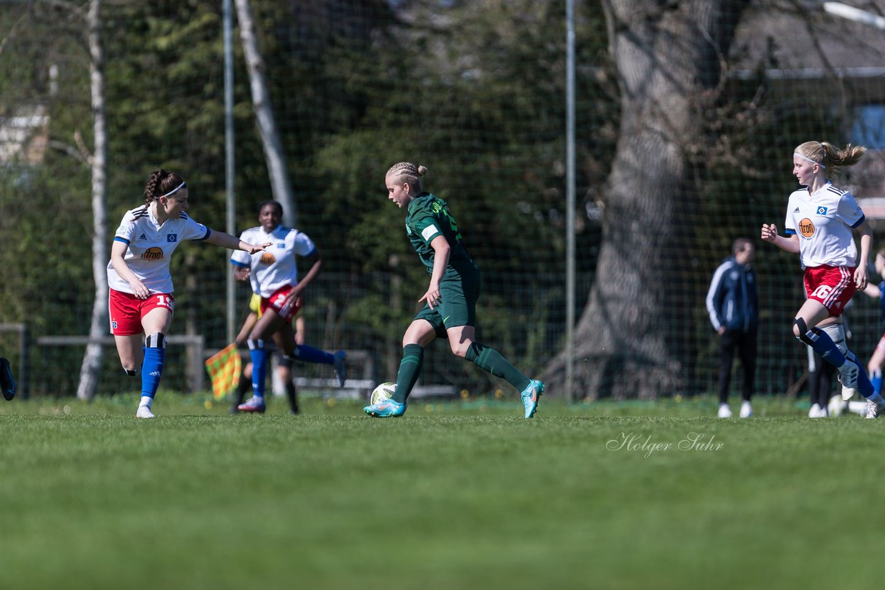 Bild 177 - wBJ Hamburger SV - WfL Wolfsburg : Ergebnis: 2:1